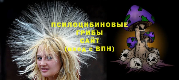 МДПВ Бугульма